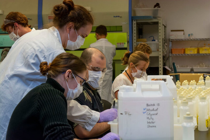 Researchers working in a laboratory