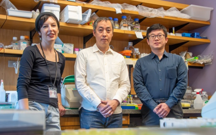 Team Photo: Optimization of AAV Vector Production Using Riboswitch