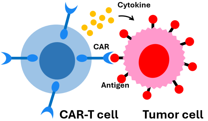 POC Project (Yokobayashi - 90): Figure 1