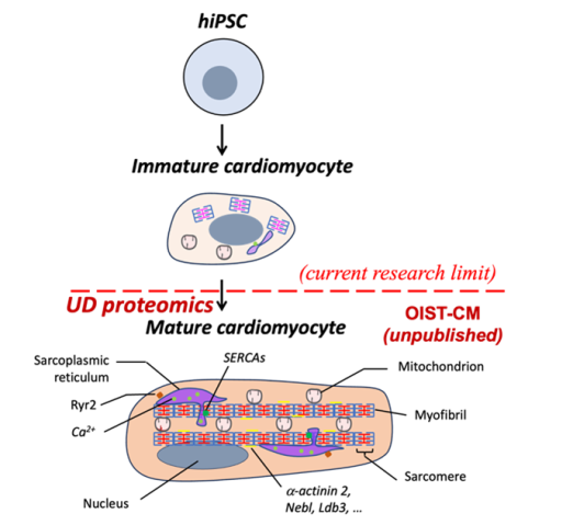 POC Project 71: Figure 1