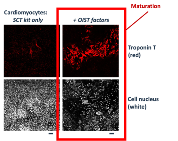 POC Project 71: figure 2