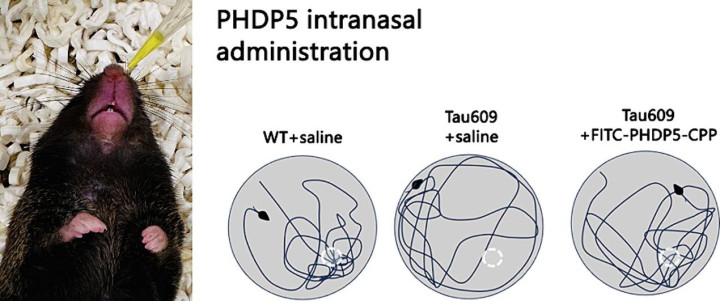 POC Project (70 - Chang): Figure 2