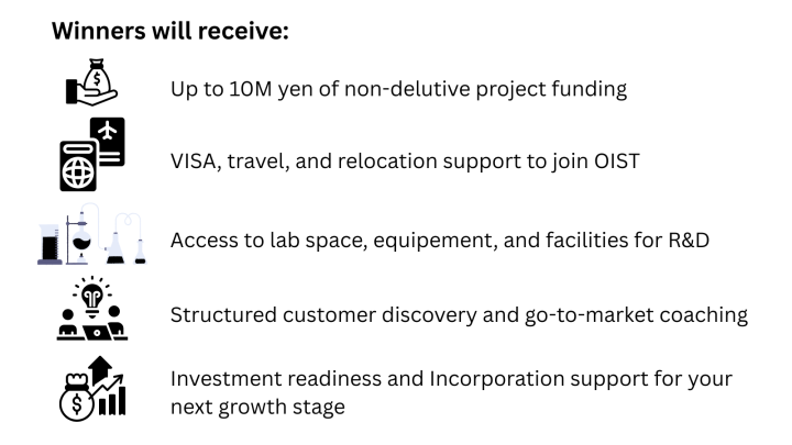 What accelerator fellows receive