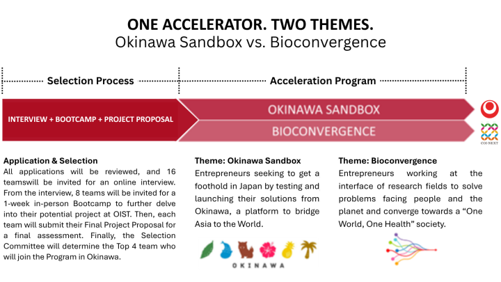 Accelerator - 2 themes