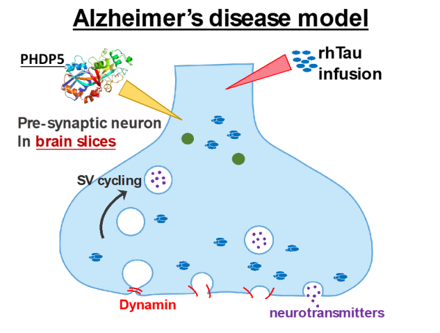 POC project (Chang 70): Figure 1