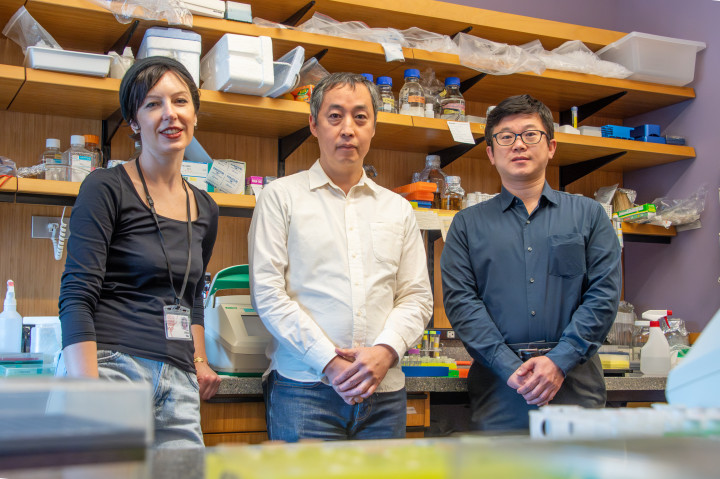 Team Photo: Riboswitch–Mediated Regulation of AAV Re