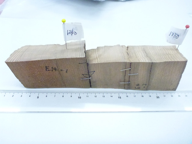 Two blocks of wood against a ruler, with pins inserted denoting specific dates.