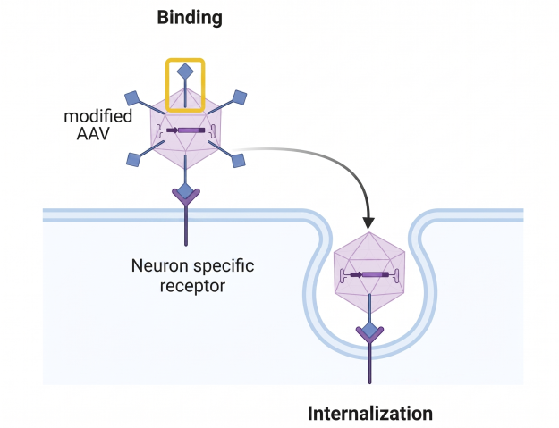 TPF (55 - Acharya): Figure 2
