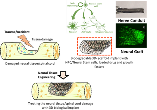 POC Project (66 - Lokesh): Figure 3