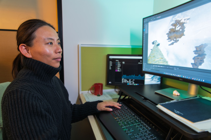 A lady looking at a computer screen.