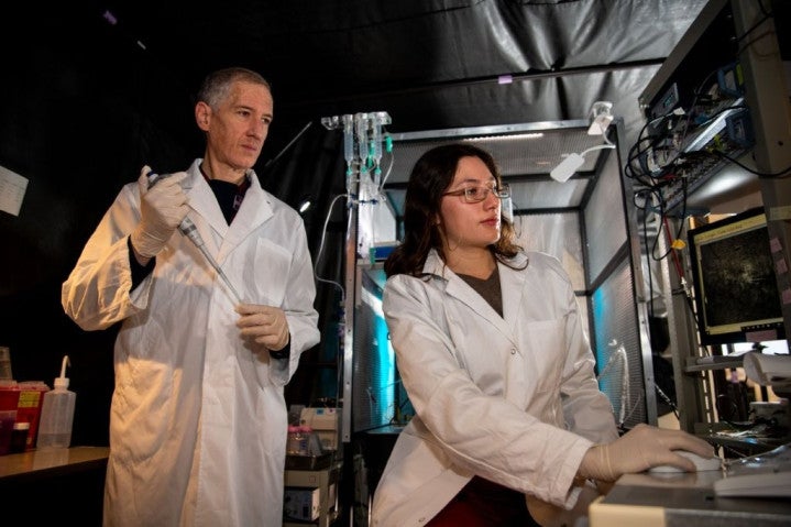 Two researchers in white coat working in a laboratory