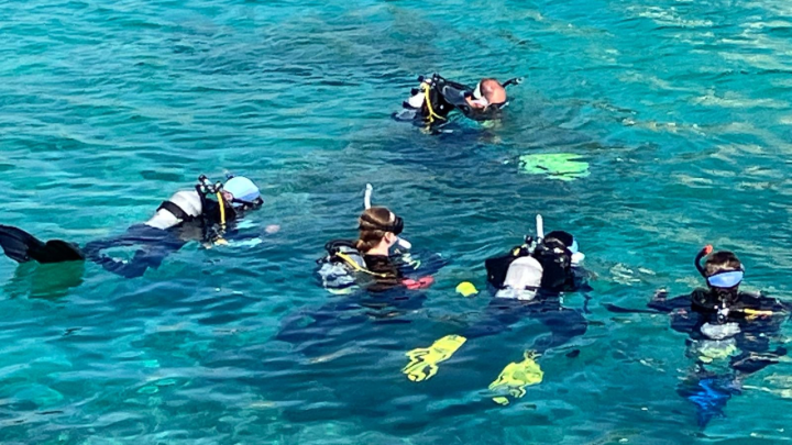 The diving image Photo credit –  Azusa Kinjo