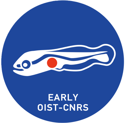Mirror Lab - Early Logo