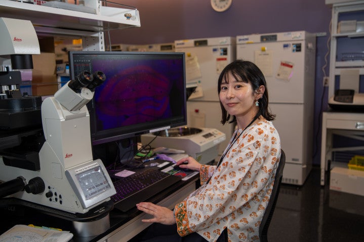 女性が机に向かって座り、画面上の多色画像を調べている。女性の左側には大型の顕微鏡があり、背景にはその他の実験器具、棚、冷蔵庫が写っている。