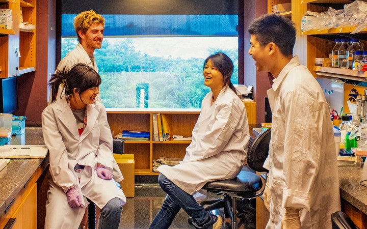 Four researchers talking in a lab