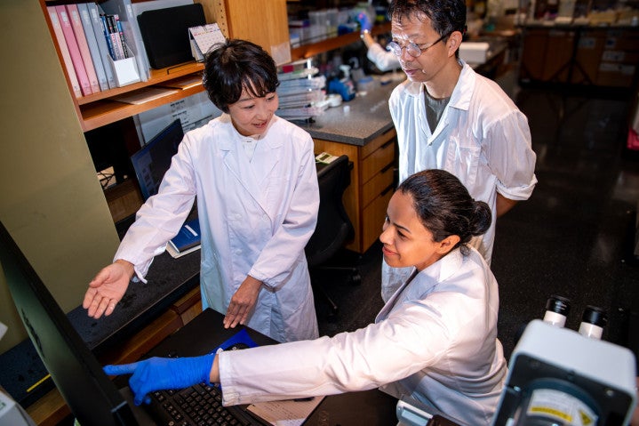 three researchers in white coat in discussion