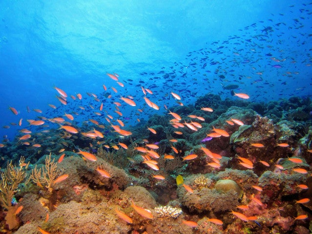 Photo near Tonaki Island 
