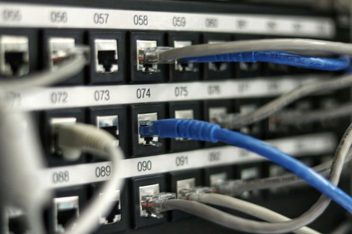 Close-up photograph of LAN cables plugged into a device.