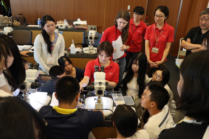 Students observe MTS members preparing ant specimens under a microscope
