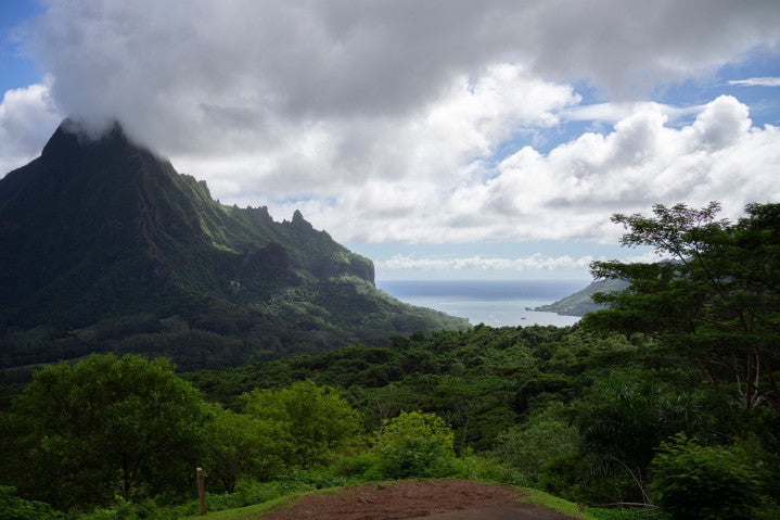 A photo shows lush green forest covering a rugged, mountainous island surrounded by pristine beaches and beautiful blue sea.