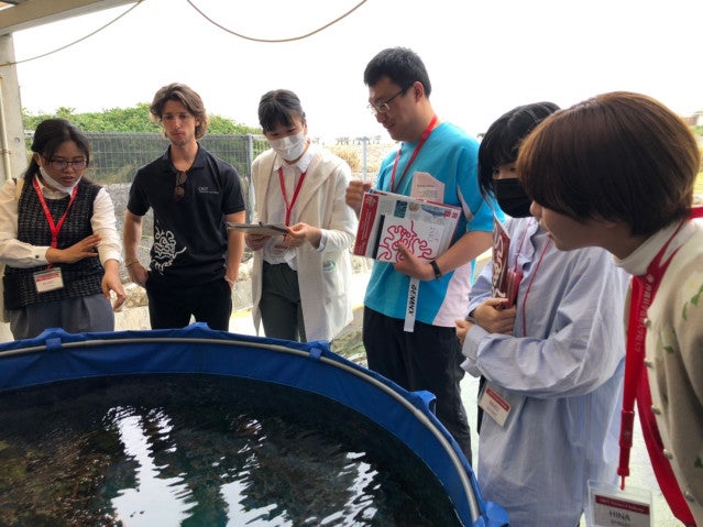 A group of people looking into a small tank