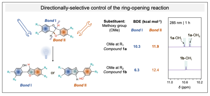 Reaction schemes are shown, alongside the results of bond dissociation energy (BDE) calculations, with partial NMR spectra inset to the right to show where products were seen. 