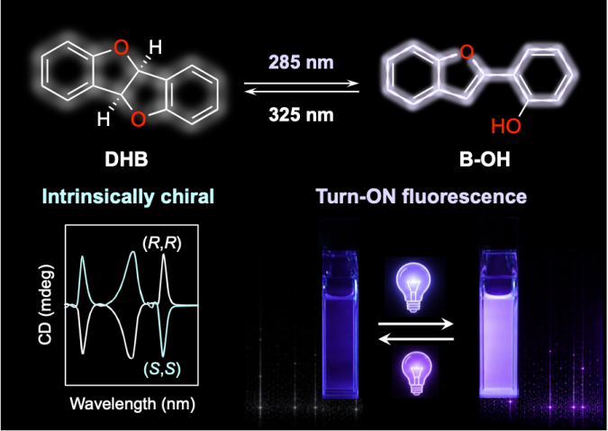 A chemical reaction is drawn on screen, with a molecule containing four ring structures shown on the left. On the right is the molecule after irradiation with 285 nm light. A carbon-oxygen bond breaks to result in a fluorescent compound, containing 3 rings within its structure. 