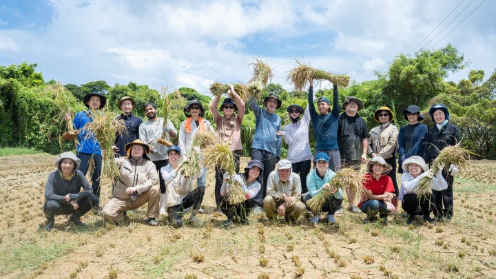 OIST and Onna Village's New High-Performance Rice Named "Churaotome"