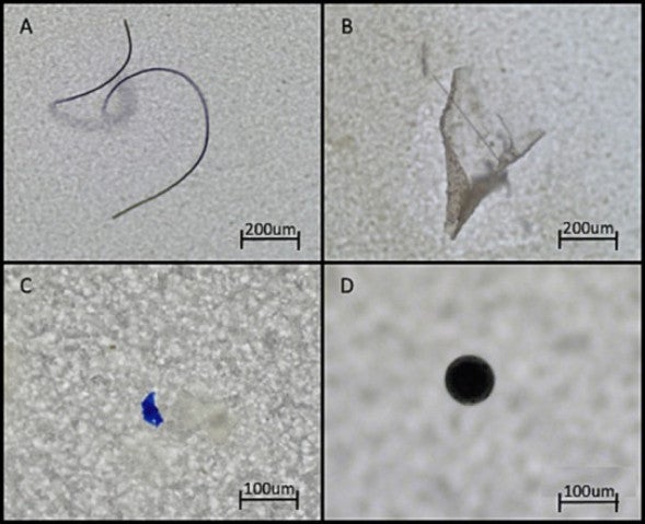 Plastitective — Fast and Efficient Microplastic Detection