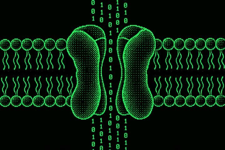Shown in the classic green and black colors of old coding computers, a cell membrane with embedded ion channel is illustrated. 
