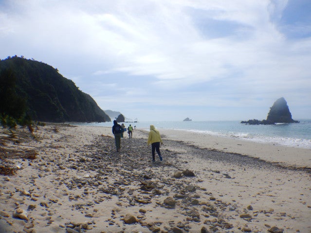A research team in wet weather gear walk along a misty natural beach.