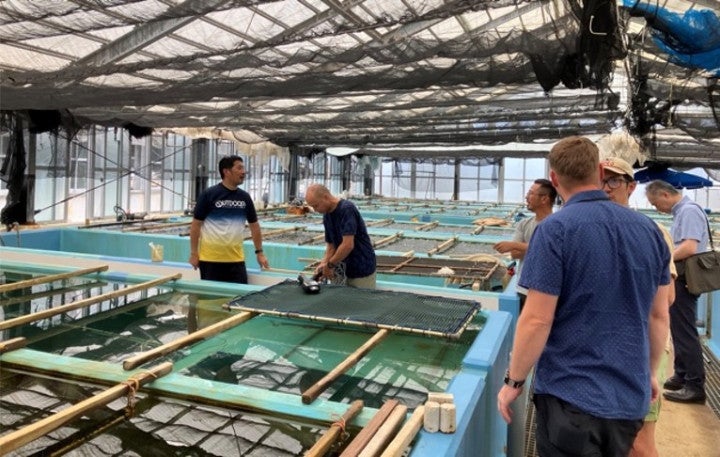 Visit to a sea grape cultivation facility 