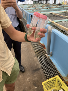 Sampling activities at a cultivation facility 