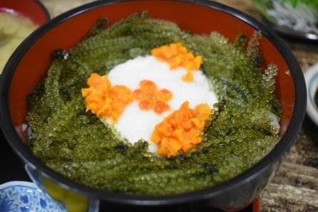 Sea grape rice bowl prepared with healthy sea grapes 
