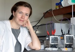 Dr. Larisa Kiseleva with several microbial fuel cells