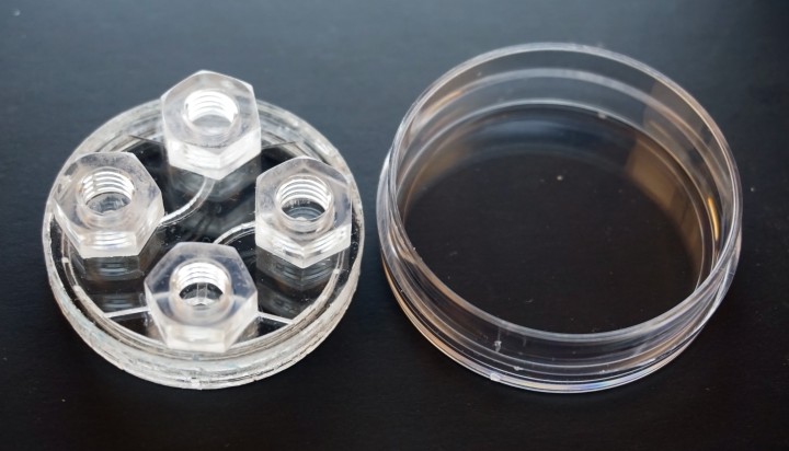 The insert (left) and the matching petri dish (right).