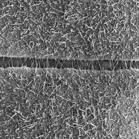銅微細構造間の隙間を酸化銅ナノワイヤーが埋めていく様子を捉えたSEM画像（色加工処理済）。