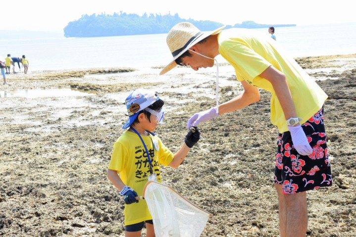 Child and teacher looking at animals at low tide