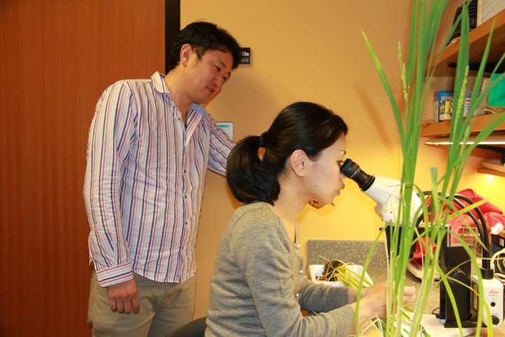 佐瀬英俊准教授