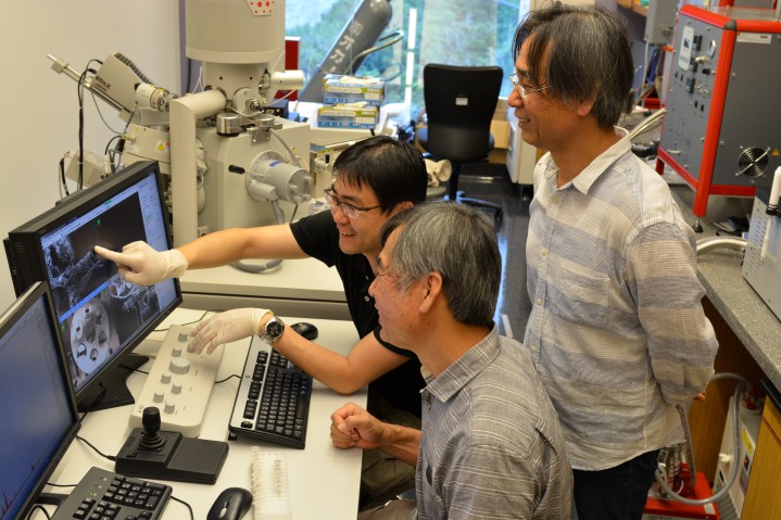 Potters and Sajiki in Lab