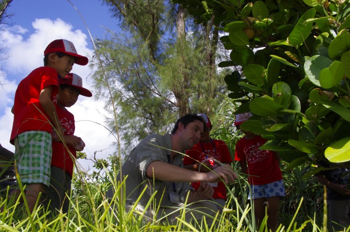 Terrestrial Organisms and Nature in Okinawa