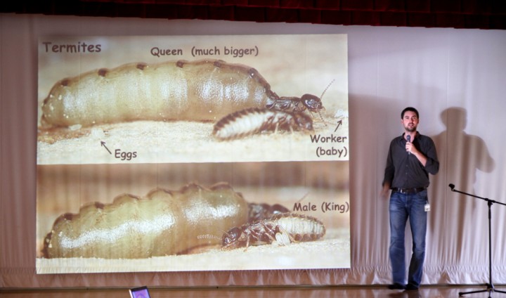 社会性昆虫について説明するベノア･ゲナー研究員（生物多様性･複雑性研究ユニット）