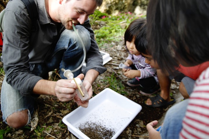アリを捕まえるのを手伝うベノア･ゲナー研究員（生物多様性･複雑性研究ユニット）