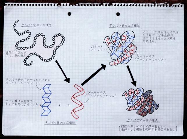タンパク質のフォールディングとランダム行列理論