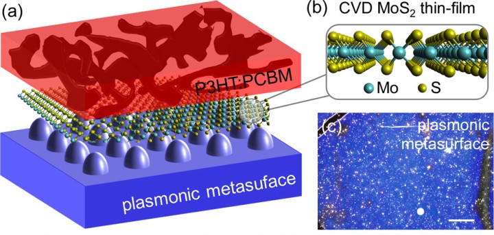 This figure depicts the organic semiconductor, in this case P3HT:PCBM in red, with a 2D MoS2 layer on a silver plasmonic metasurface. 