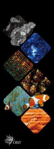 vertical banner with 6 images of science