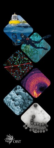 vertical banner with 6 images of science