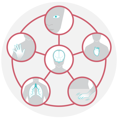6 circles connected with lines