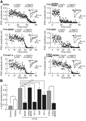 cmsfu FY2013 Annual Report fig9