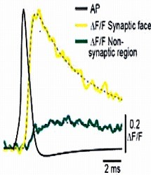 cmsfu FY2014 Annual Report fig6-1